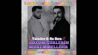 Barış Adal amp Taladro  Sözüm şiirlerin Mükemmelidir mix ProdAbdulhakim Dursun [upl. by Jamima]