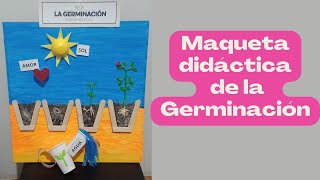 Maqueta de la germinación ♻🤩MVRC♻ [upl. by Yonina441]