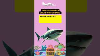 GREAT WHITE SHARK Types of sharks  typesofsharks lifeofshark sharks greatwhiteshark goal14 [upl. by Ileyan839]