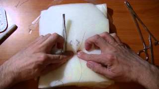 Basic Knot Tying and Suturing Demo [upl. by Houghton917]