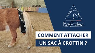 TUTORIEL  comment attacher un sac à crottin [upl. by Melvyn]