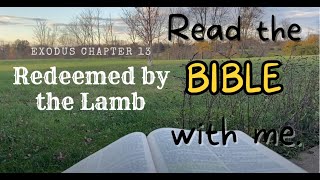 Exodus Chapter 13 Redeemed By The Lamb simplyscripture love [upl. by Eyllom]