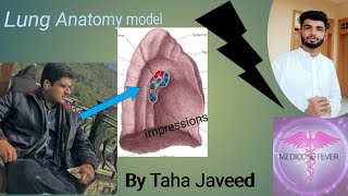 Lungs Anatomy 🫁  Ospe model review Respiratory Model  Lungs Model [upl. by Annairb16]