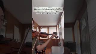 Kreisler Liebesleid violin violinmusic music violinist classicalmusic violinlife musicgenre [upl. by Atiekahs431]