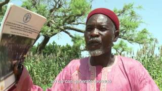 Growing Together Intensifying agriculture in Niger [upl. by Lokkin859]