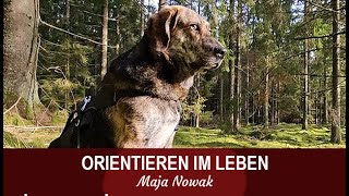 ORIENTIEREN  Eine neue Reihe über das Leben  Teil 3  von Maja Nowak [upl. by Gav]