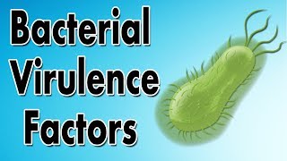 Bacterial Virulence Factors [upl. by Acirne159]