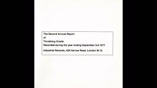 Throbbing Gristle  After Cease To Exist  The Second Annual Report 1977  Track 9 [upl. by Nwahsed]