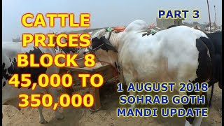 Cattle Prices in Block 8  Sohrab Goth Mandi Update 1 August 2018 Part 3 [upl. by Chrisy]