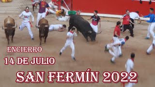 Encierro 14 julio San Fermín 2022  Miura Santo DomingoEstafetaPlaza [upl. by Arline850]