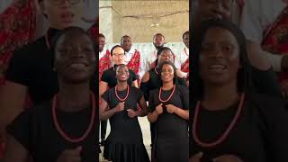 African Call And Response Chukwu Nonso  Alex Ugwu alexugwu africanmusic choir music acapella [upl. by Symer]