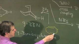 Stoichiometric Organometals V Organoboron Compounds Allylations Prof Reiser Lecture 6 [upl. by Sidwohl117]