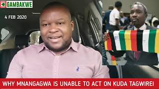 Why ED Mnangagwa is Unable To Act on Kuda Tagwirei [upl. by Marguerite]