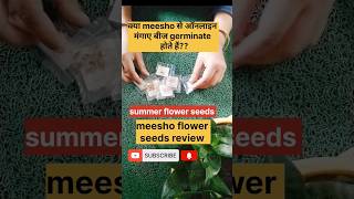 online seeds review meesho flower seeds review youtubeshorts garden [upl. by Taub]