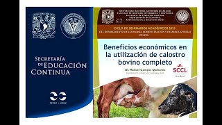 Beneficios económicos en la utilización de calostro bovino completo [upl. by Ellimaj]