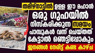 തമിഴ്നാട്ടിൽ ഉള്ള ഈ മഹാൻ ഒരു ഗുഹയിൽ നിസ്കരിക്കുന്ന സമയം  Tamil Nadu Dargah [upl. by Noeled]