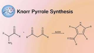 Knorr Pyrrole Synthesis  Organic Chemistry [upl. by Arytas830]