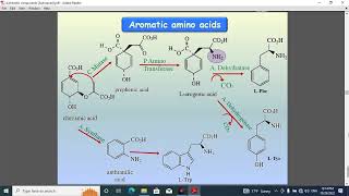 pharmacognosy 1 lec 13 [upl. by Noitsuj]