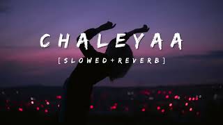 CHALEYA SLOWED AND REVERB song firstvlog [upl. by Wilde831]