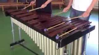 Amelie  comptine dun autre été on marimba cover [upl. by Aticnemrac]