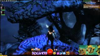 Guild Wars 2 Viziers Tower Skill Point  Vista [upl. by Aisenat]