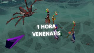 1 HORA DE VENENATIS OSRS EN ESPAÑOL 2024 [upl. by Skurnik]