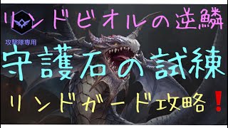 リネレボ新拡張パック❗️リンドビオルの逆鱗❗️守護石の試練❗️リンドガード攻略‼️リンドビオル [upl. by Nahama]