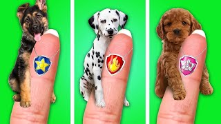 Rescue This Adorable Puppy 🐶 Clever Pet Owner Tips We Adopted Paw Patrol by Doodle Delight [upl. by Guy]