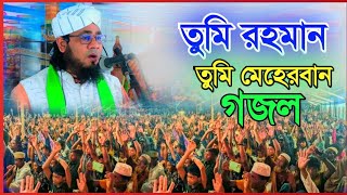 তুমি রহমান তুমি মেহেরবান গজল পীর মুফতি দেলোয়ার হোসেন মুজাহিদী [upl. by Dorfman]