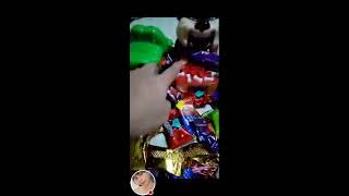 CROCODILE AND MAD DOG Eating Chocolate Candies chocolate yummy [upl. by Thynne]