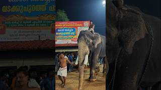 ശേഖരൻ പൗരുഷം 🔥🔥 keraleeyan elephant aana [upl. by Jackelyn]