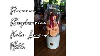 Healthy Smoothie Recipe amp Vitamer Portable Blender Review [upl. by Olimreh649]