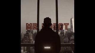 MrRobot  I Was Only Temporary Slowed [upl. by Argus]