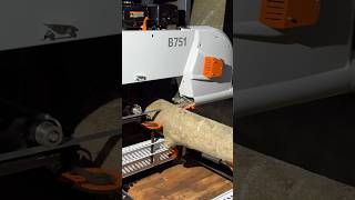 New Sawmill ireland sawmill timber logs holly woodwork machines bandsaw [upl. by Ahsitniuq]