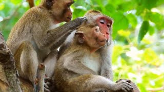 Jazzy and Jonna Team Up to Groom Mom Jane – A Heartwarming Family Moment [upl. by Snook516]