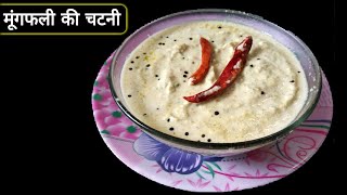 मूंगफली की चटनी बनाने की विधि‌  Peanut Chutney Recipe In Hindi [upl. by Eilesor]