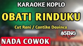 OBATI RINDUKU Karaoke Cantika Davinca Nada Cowok  Cut Rani [upl. by Greenberg]