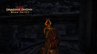 Dragons Dogma Dark Arisen  Chimera Armor [upl. by Trix970]