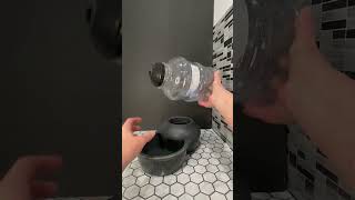 Honest Review of Petmate Aspen Pet Lebistro Cat and Dog Water Dispenser [upl. by Havstad216]