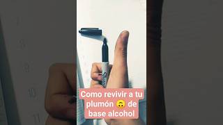 cómo revivir un plumón a base de alcohol [upl. by Esli]