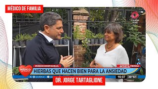 Hierbas para la ansiedad  Hierbas que hacen bien  Médico de familia  Dr Jorge Tartaglione [upl. by Enilecram]