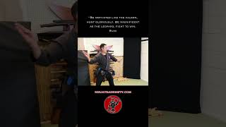 Bo Shuriken Side Throw shorts ninja samurai martialarts [upl. by Ranzini]