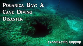 Poganica Bay A Cave Diving Disaster  A Short Documentary  Fascinating Horror [upl. by Tollman]