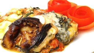 Auberginen Auflauf mit Mozarella und Tomate  vegetarisch  Rezept  Video Anleitung [upl. by Brenza]