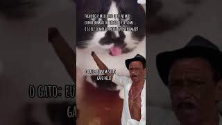 O gato pensando q quem manda nessa merd sou eu [upl. by Fredie441]