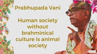 Prabhupada Vani Human society without brahminical culture is animal society [upl. by Breh]