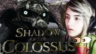 OLHA O TAMANHO DISSO  Shadow of the Colossus [upl. by Phillip]