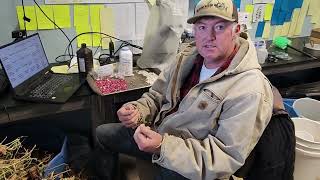 Anasazi Beans Harvest  October 2022 [upl. by Aninaig]