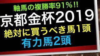 京都金杯2019【絶対に買うべき馬1頭】【有力馬2頭】 [upl. by Aenat780]