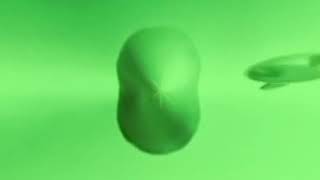 gummy bear song greek green reverse download YouTube [upl. by Shotton626]